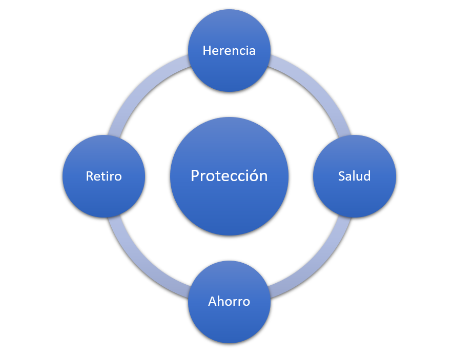 DMN - Tu aliado en seguros