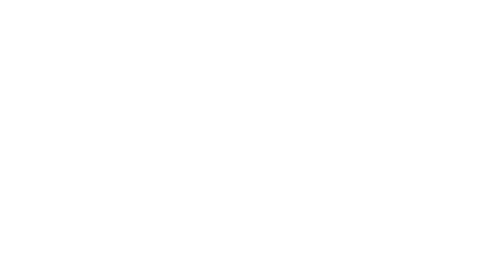 DMN - Tu aliado en seguros